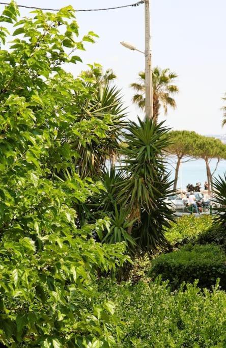 Blue Summer Vibes Duplex Studio For 4P, Ac, Sea View, Parking, Beach At 50M, Spa Access -3 La Ciotat Exteriér fotografie
